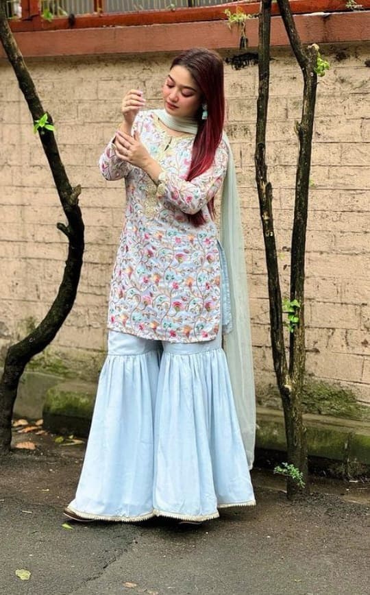 Amritsar Call Girls service